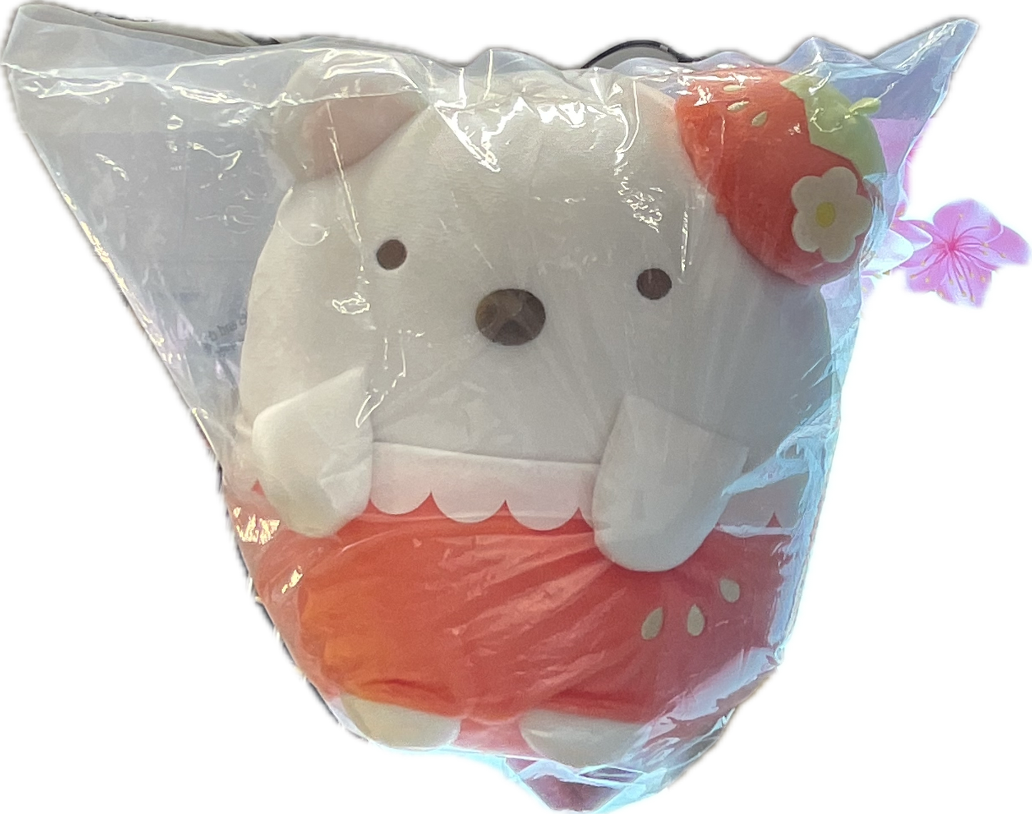 Shirokuma Strawberry