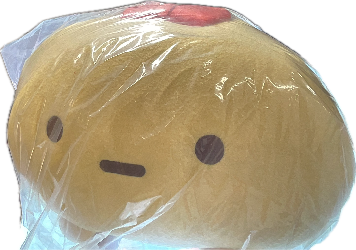 Sumikkoguroshi plush