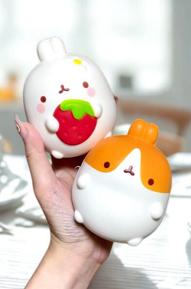 Molang The Happy Rabbit Squishies