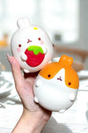 Molang The Happy Rabbit Squishies
