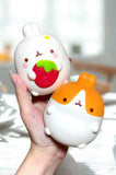 Molang The Happy Rabbit Squishies