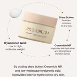 Pop Pure Rice Cream