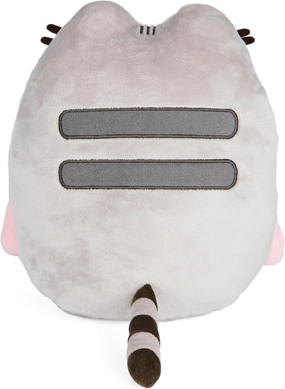 Pusheen with Rainbow, 9.5 in