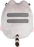 Pusheen with Rainbow, 9.5 in
