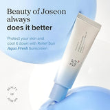 Beauty Of Joseon Relief Sun Aqua Fresh