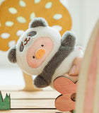 Animal party puppet show