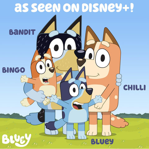 Bluey Magnetic Activity Set