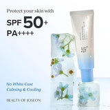 Beauty Of Joseon Relief Sun Aqua Fresh