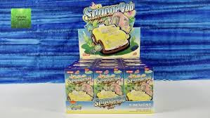 SpongeBob squarePants sightseeing car