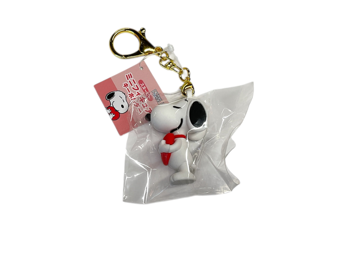 keychain 223
