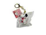 keychain 223