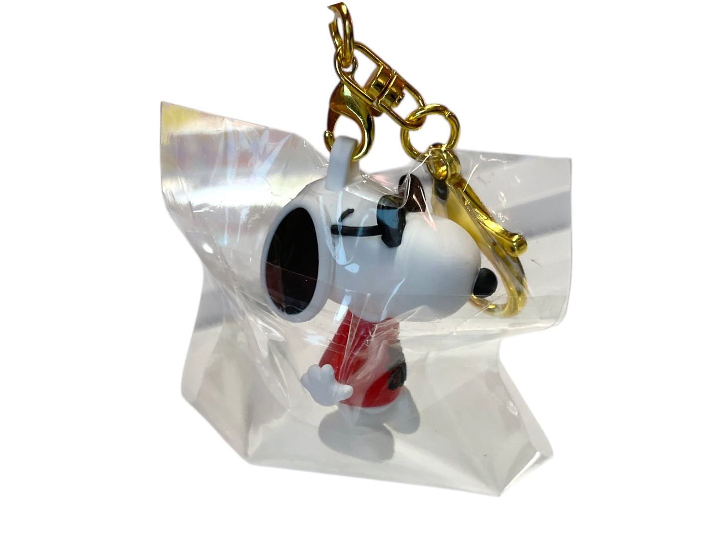keychain 221
