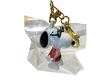 keychain 221