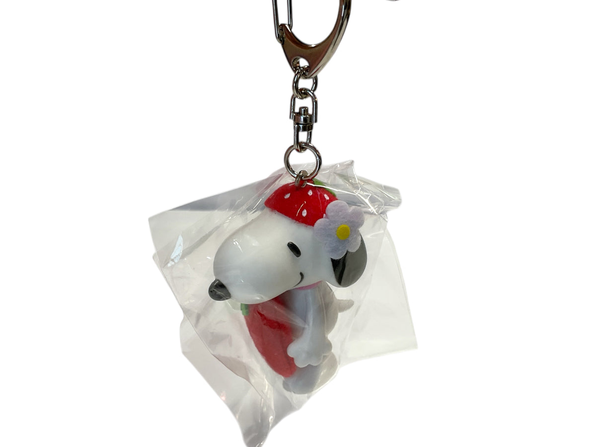 keychain 224