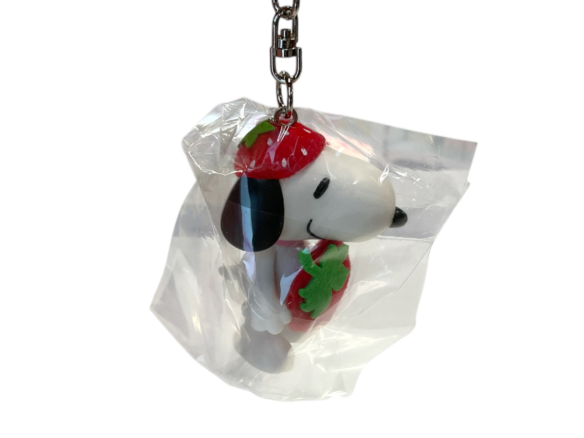 keychain 224
