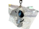 keychain 220