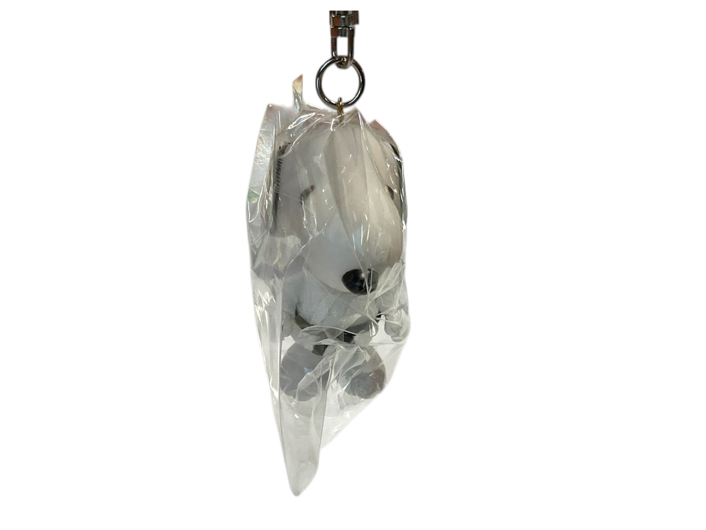 keychain 220