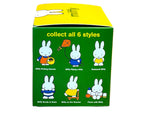 Miffy Summer Series Blind Box