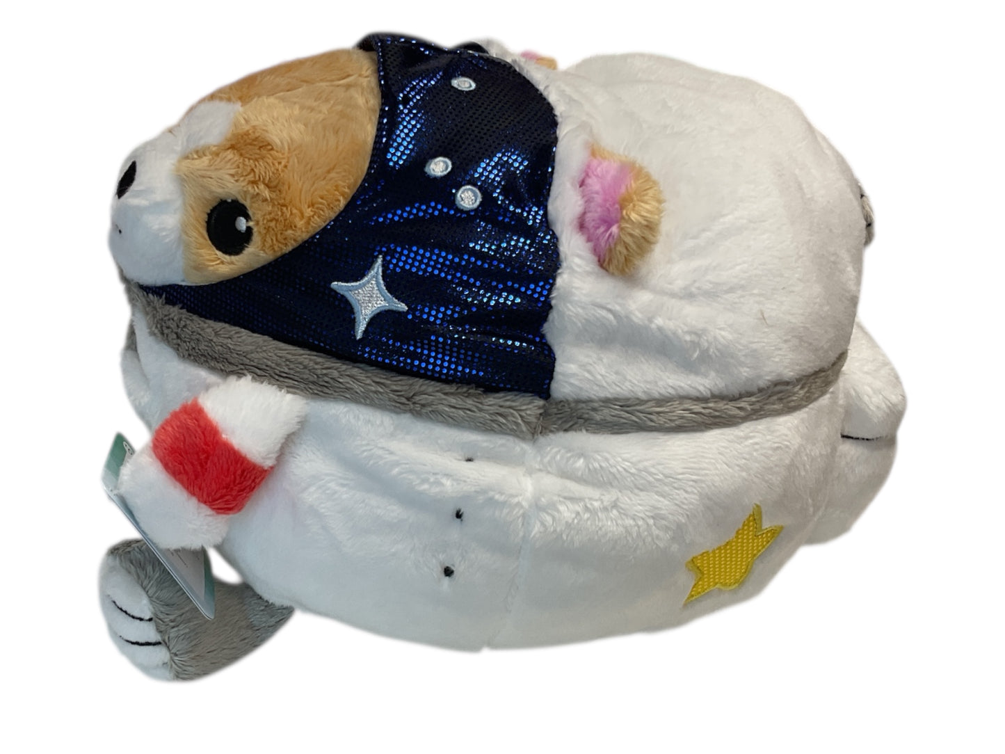 Astronaut Corgi