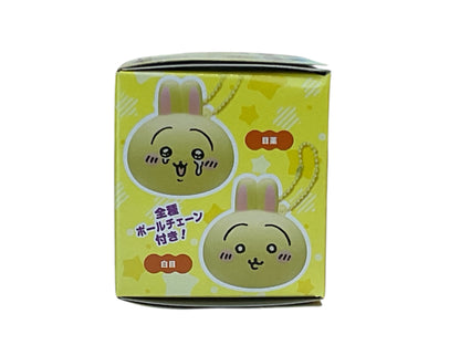 Usagi blind box