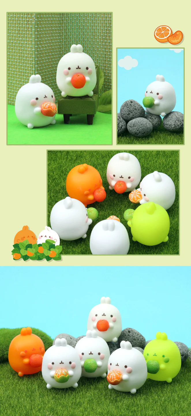 Molang My Best Friend Tangerine Series