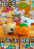 Funism Maltese Lucky Paws Series Blind Box