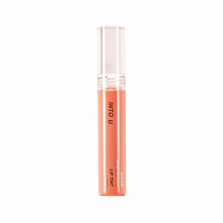 INTO U Water Reflecting Lip Tint R02