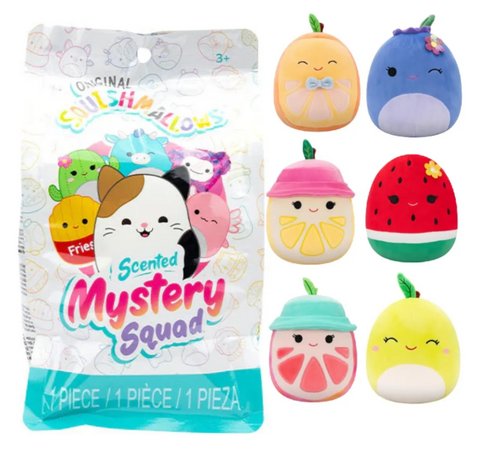 Squishmallows Mystery Pop Fidgety