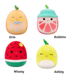 Squishmallows Mystery Pop Fidgety