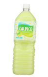 calpico melon drink