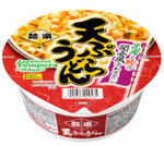 Tempura Udon Noodle