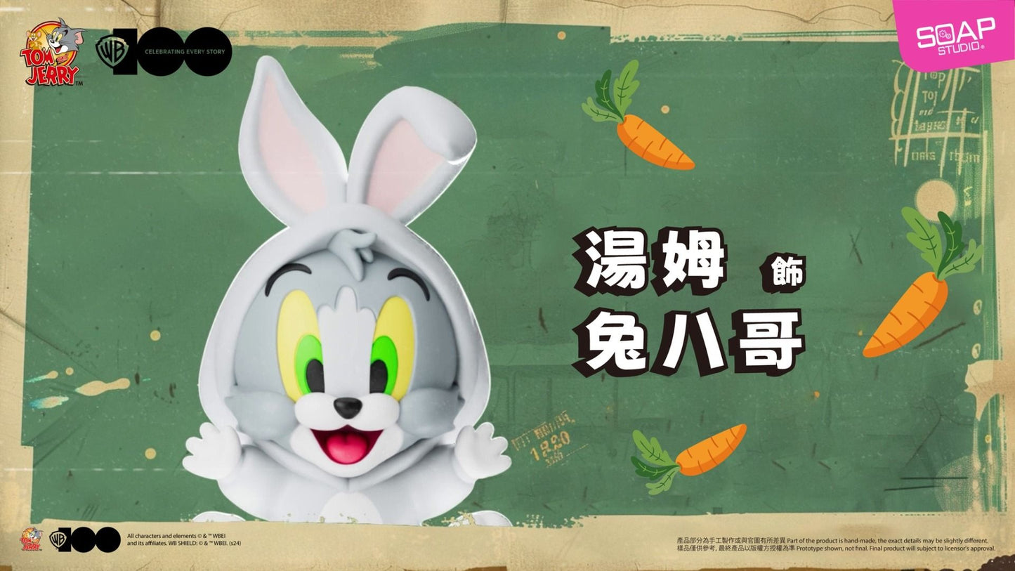 WB100th Tom and Jerry In Costume Vin-B;op Blind Box